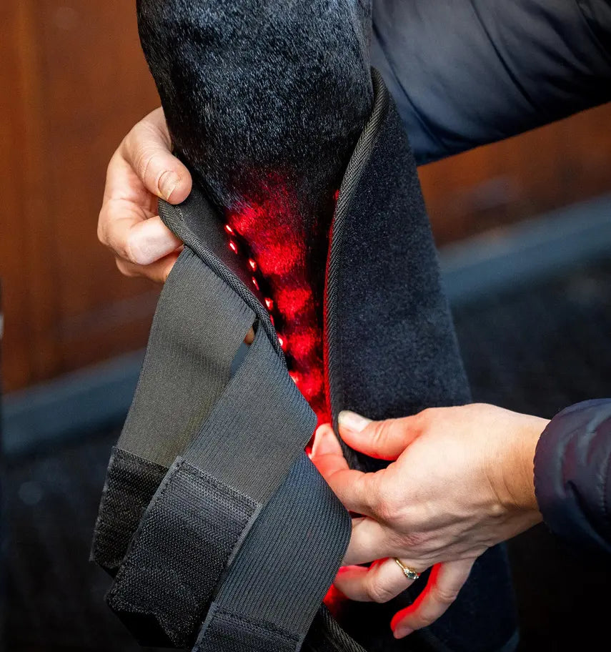 EQUZONEX Red Light Leg Wraps